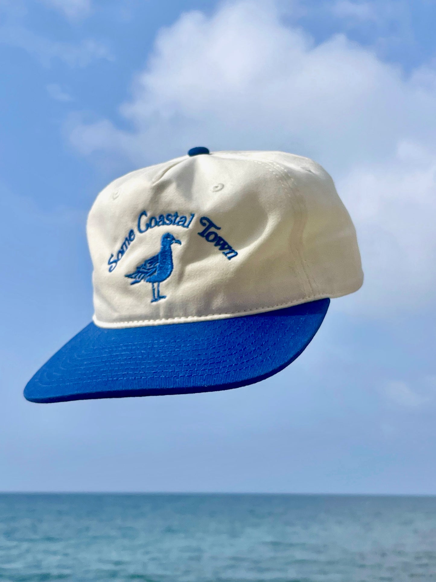 Seagull Mid Profile Hat