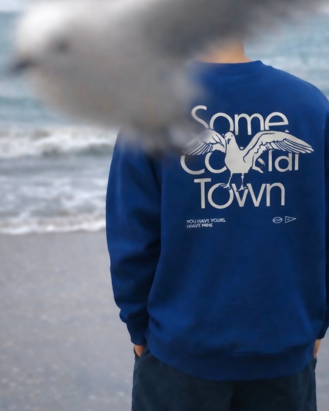 Seagull in the Way embroidered Some Coastal Town fleece crewneck sweatshirt - product image 2