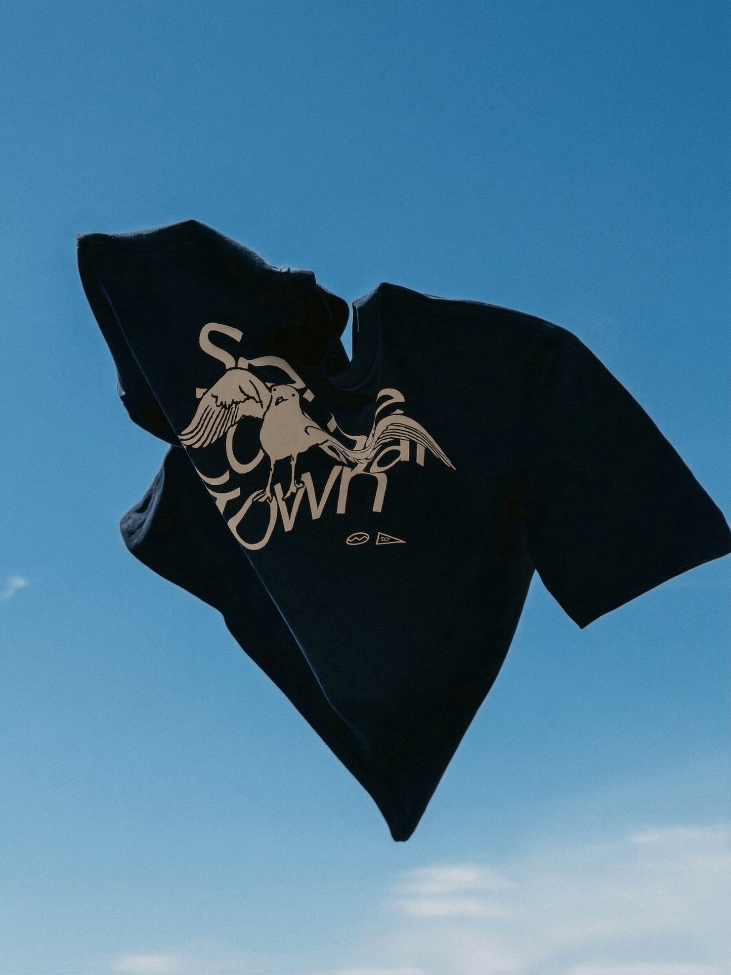 Seagull in the Way 100 percent combed cotton coastal graphic tee - product image 2