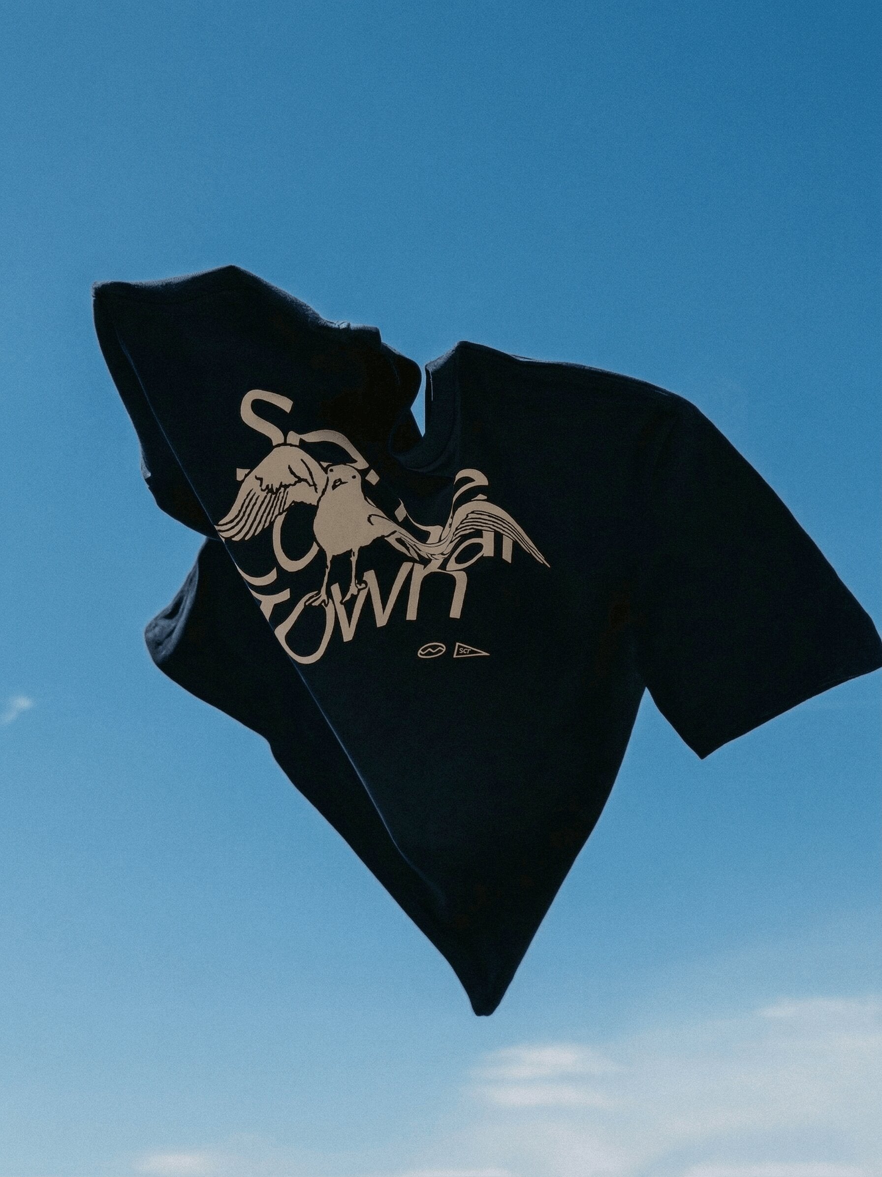 Seagull in the Way 100 percent combed cotton coastal graphic tee - product image 2
