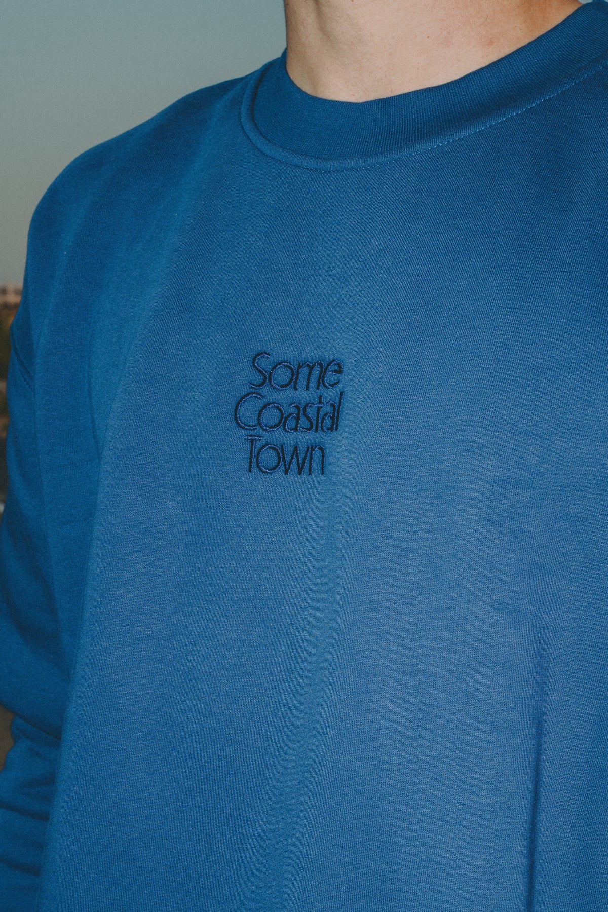 Seagull in the Way Embroidered Fleece Crewneck Sweatshirt